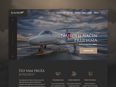 Airline Company Website airline cessna company design web website
