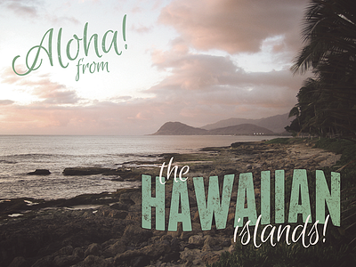 Hawaii Postcard aloha beach franchise hawaii honalulu island lettering old photo photograph postcard travel type typography vintage