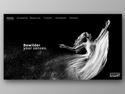Ballet Home Page and Transitions