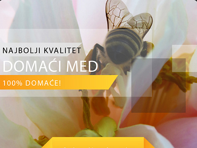 Flyer design - domaci med band bee branding design design art flat design flowers flyer honey identity illustrator