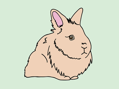 Scully LaPin bunny dana fluffy lapel lionhead pin rabbit scully vector xfiles