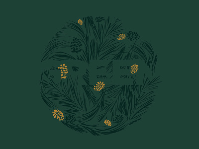 Evergreen dailydoodle evergreen flourish illustration nature pincecones pine specimen study spring