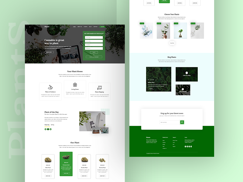 Plant Landing Page Concept by cloudEsoft on Dribbble