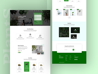 Plant Landing Page Concept agency concept design designer minimal typography ui ux web website