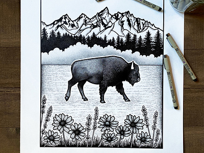 Bison bison blackandwhite detailed dotwork linework micron micron pen mountainart pen and ink stippled stippling wyoming