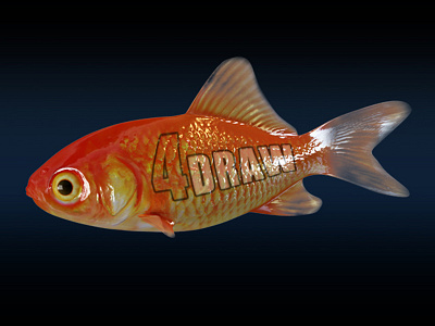 Goldfish 3ds max animation fish mudbox photoshop red vray