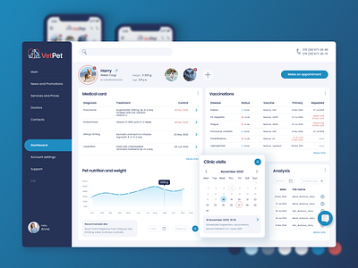 Client Desktop Dashboard on VetClinics Web dashboard dashboard ui desktop figma vet pet veterinary