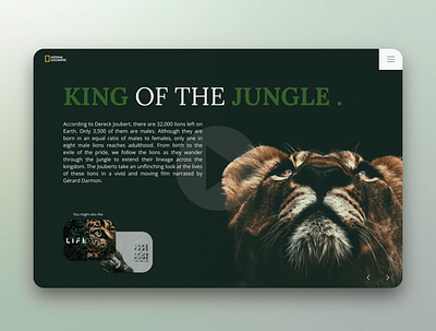 King of the jungle concept design ui ux web webdesign