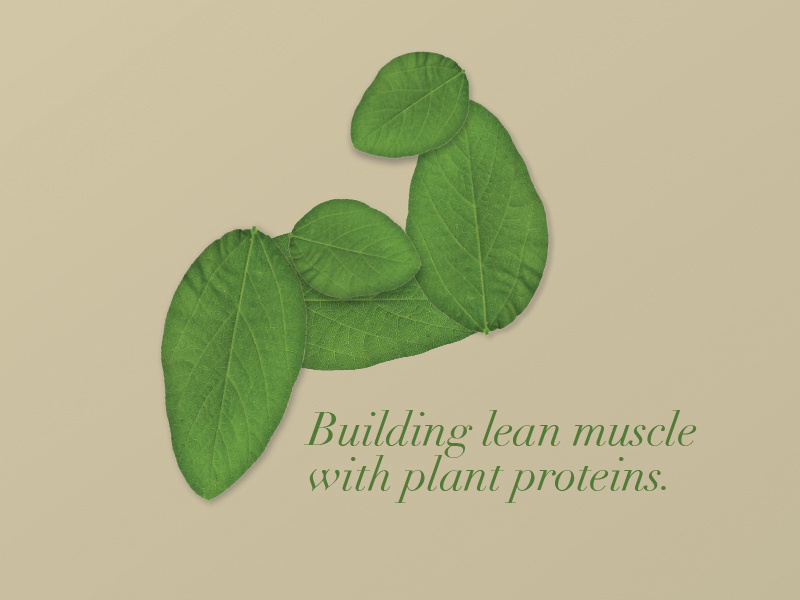 Plant Protein Image leaves health fitness muscle soy plant protein