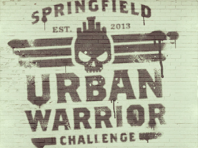 Springfield Urban Warrior Challenge brick challenge distressed graffiti skull springfield urban warrior