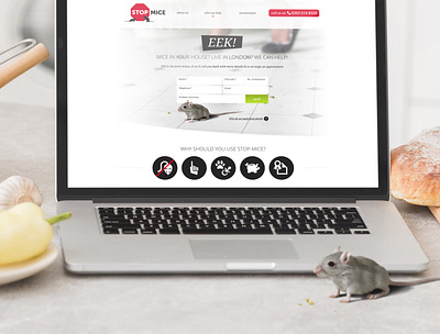 Stop Mice branding design logo ui ux web web design