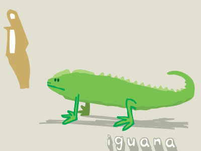 Iguana! animals illustration vector