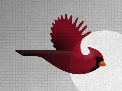 Bird illustration logo