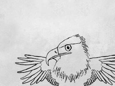 Eagle illustration