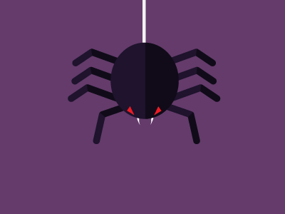 Spider spider