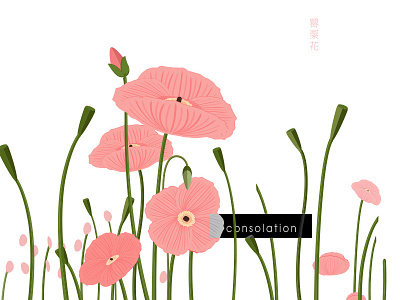 Poppy Flower consolation floral leaf petal pink poppy flower