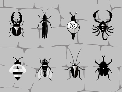 Insect world in black and white tones