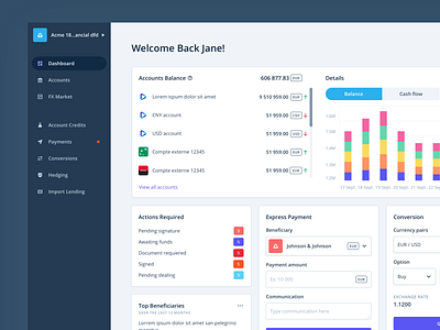 iBanFirst - New Dashboard