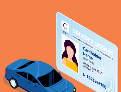 Drivers Licence Translation driver license licence translation translation service