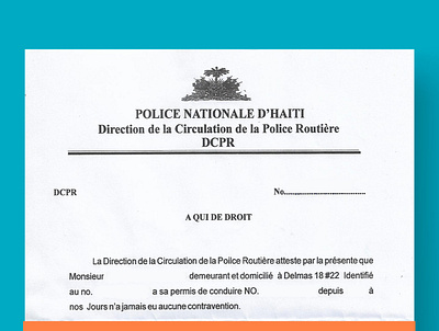 Criminal Record Haiti criminal record haiti criminal record haiti template