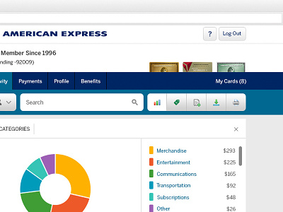 American Express E-statement american express credit financial graphing