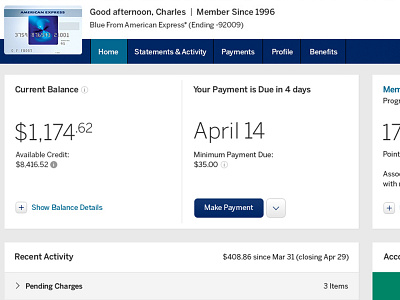 American Express Account Summary