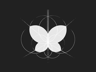 Butterfly logo 🦋 black black and white brand brand identity branding butterfly butterfly logo clean design design system flore golden ratio golden ratio logo logo simple vector visual design white