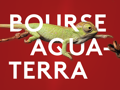 Bourse aqua-terra aqua terra chameleon color colorful green poster red