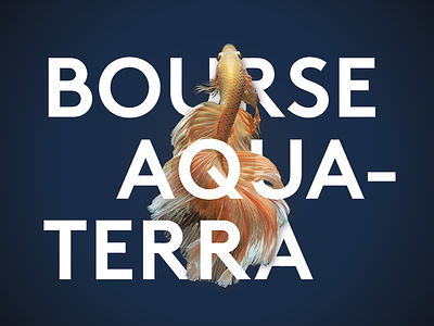 Bourse aqua-terra aqua terra blue color colorful fish orange poster