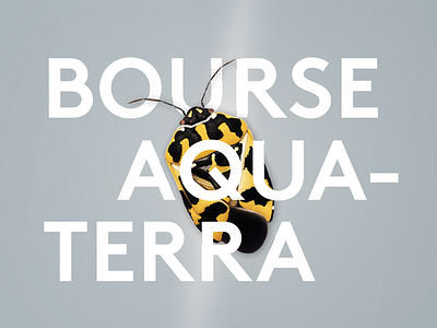 Bourse aqua-terra aqua terra color colorful grey insect poster yellow