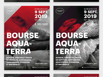 Bourse aqua-terra aqua terra black and white clean color colorful design poster red simple