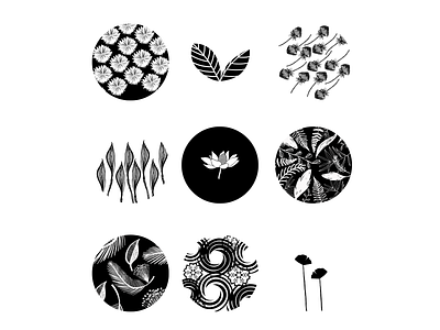 Instagram Story Covers - Black & White Flowers branding covers design flowers graphics icon instagram