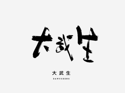 大武生 design font design handwriting handwriting font typography