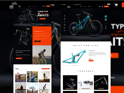 Roar cycles 2 adobexd clean design ui uiux ux website