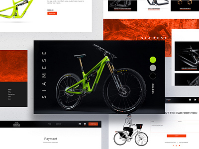 Roar cycles 3