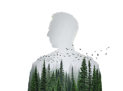 Forest Art art poster