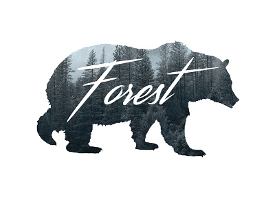 Forest logo art branding design illustration logo minimal poster