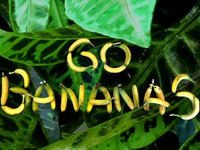 Go Bananas! design illustration lettering typography