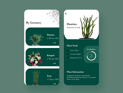 My Greenery App app design design figmaafrica figmadesign nature typography ui ui design ux