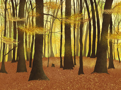 Woods autumn digital fall painting photoshop practice woods