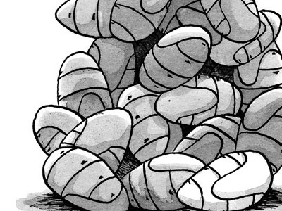 Cocoon Pile cocoons pen ink wash