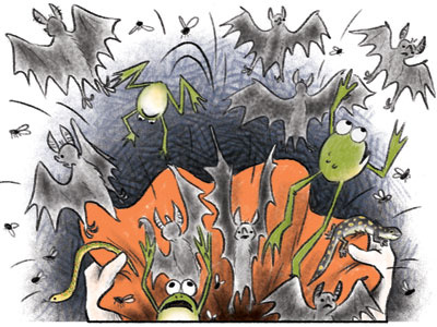 Broom - Bats & Frogs & Flies (Colored) bags bats flies frogs halloween trick or treat