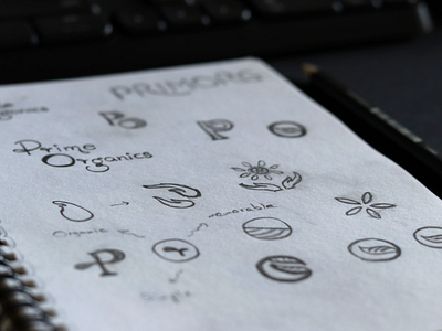 Organic spice brand logo exploration