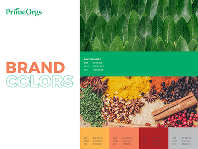 PrimeOrgs - Brand colors brand colors brand designer branding color palette colors logo logo designer