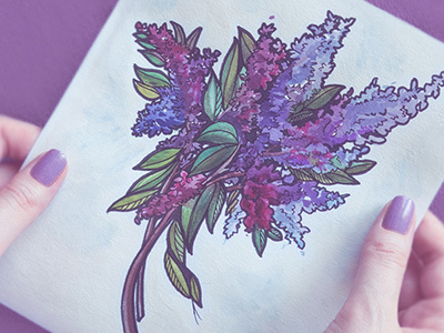 Lilac art drawing flowers handdrawing illustration lilac paper sketch watercolor