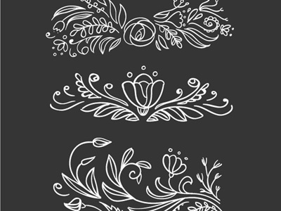 Floral elements art black and white floral flowers illustration leaves nature vector