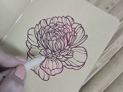 Flower sketch flower handdrawing illustration paper pen peony sketch