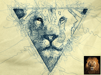 Scribbled Lion