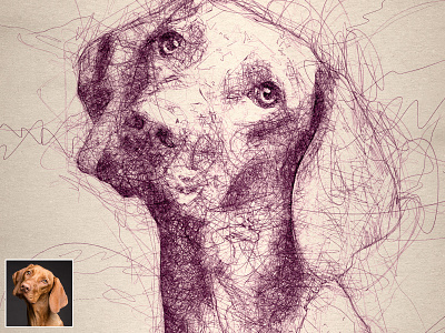 Very Scribbbled Vizsla automatic effect digital art dog illustration doggy drawing illustration pen sketch photo effect photoshop action plugins scribble scribble art scribbles sketch sketchapp vizsla