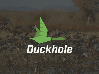 Duckhole branding duck flying green identity logo mallard outdoors